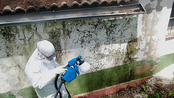 Top rated local Commercial Mold Remediation specialists in Welcome, NC